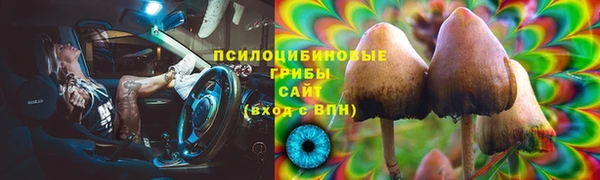 шишки Беломорск